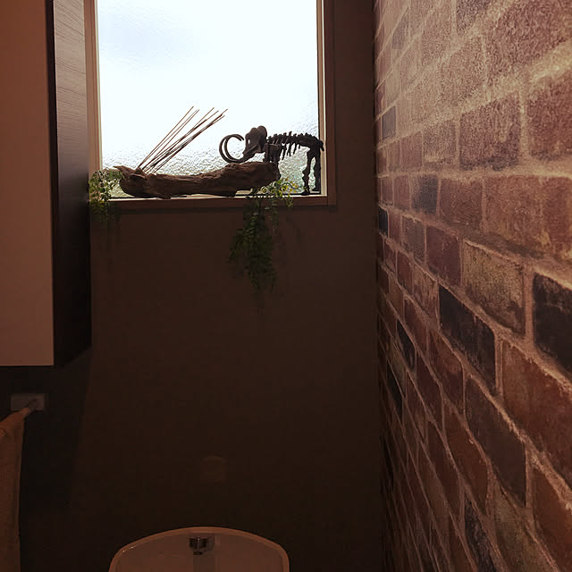 seiさんの実例写真
