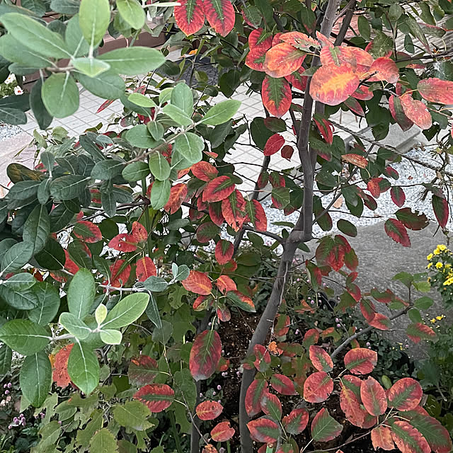 ronronさんの部屋