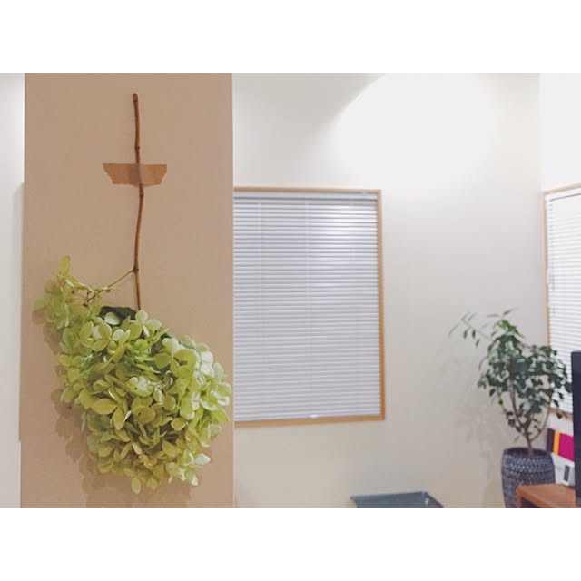 rino_qさんの実例写真