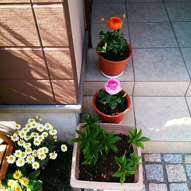mimottoさんの実例写真