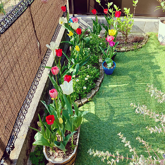 FUJICOさんの実例写真