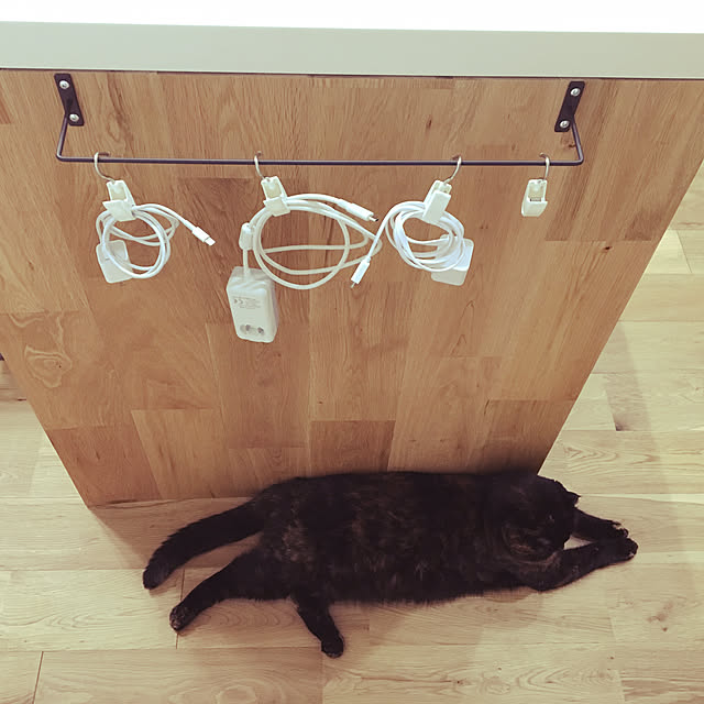 saraさんの実例写真