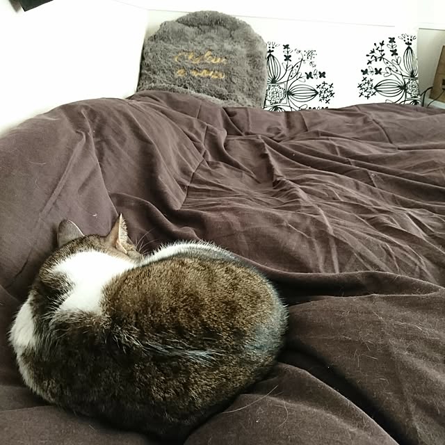 harusamensoupさんの実例写真