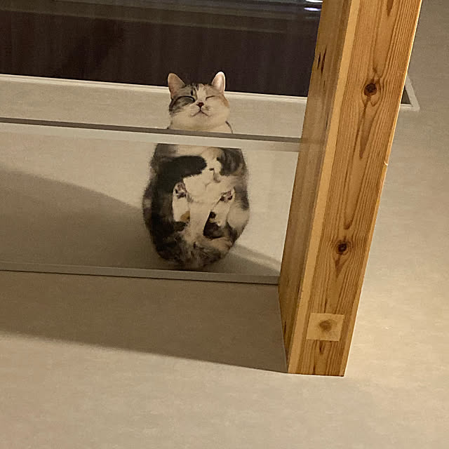 mikkumikuさんの実例写真