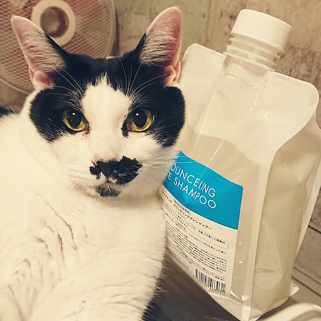 asuminさんの実例写真