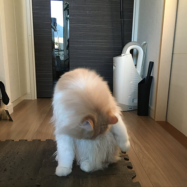 reomewさんの実例写真