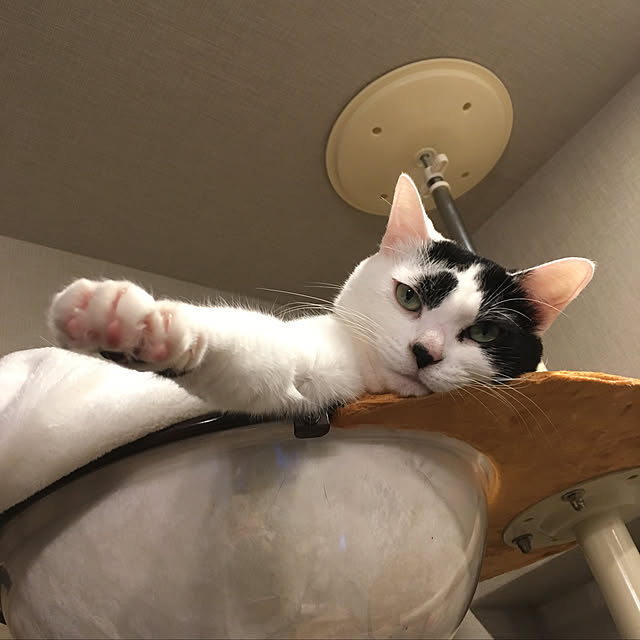 hanaさんの実例写真
