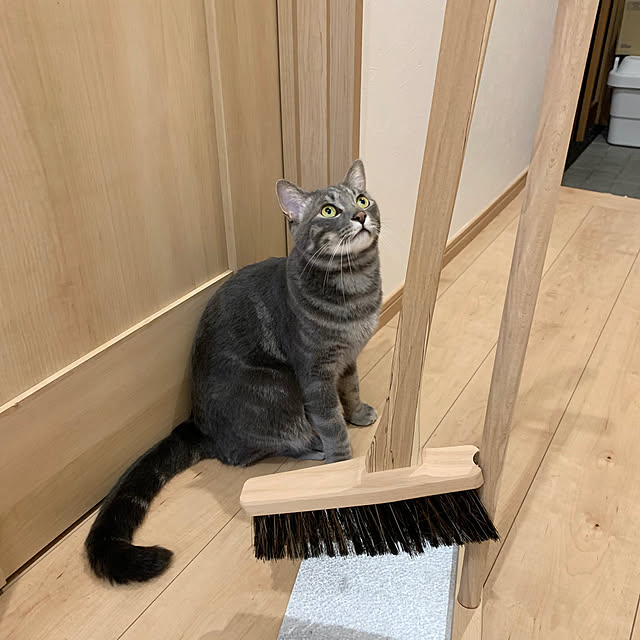 yuzukoさんの実例写真