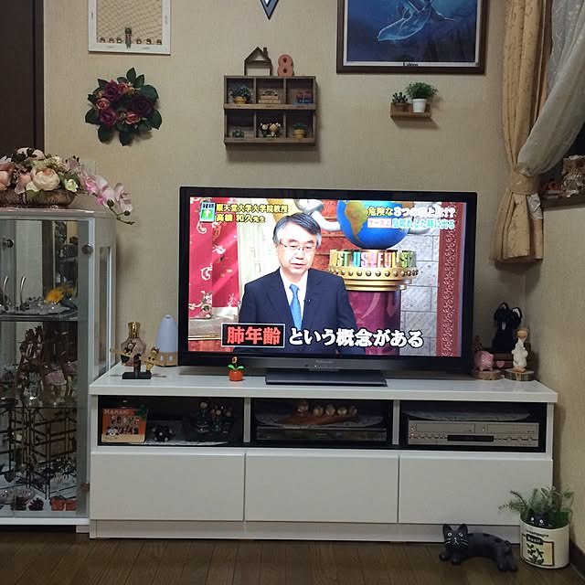 実例写真