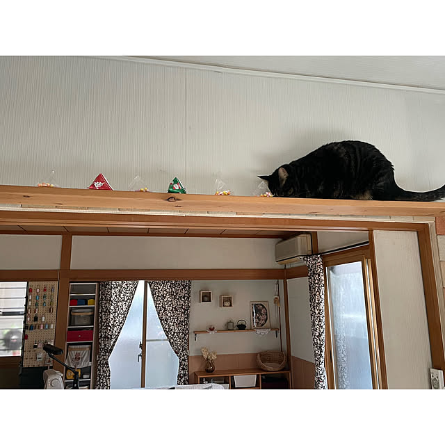 momocchiさんの実例写真