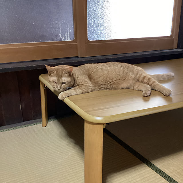 conatuさんの実例写真