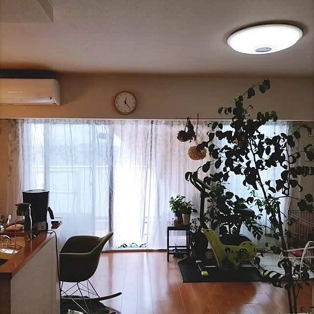 Naokoさんの実例写真