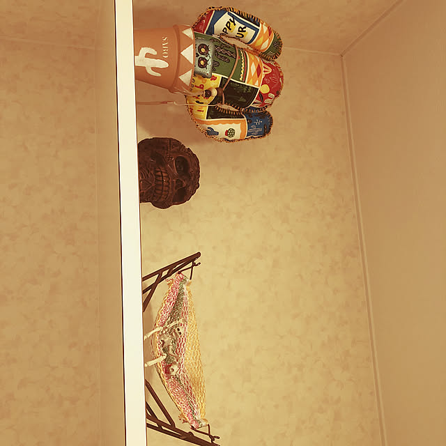 pochuさんの実例写真