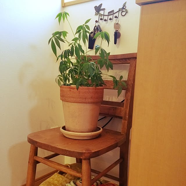 hamasaさんの実例写真