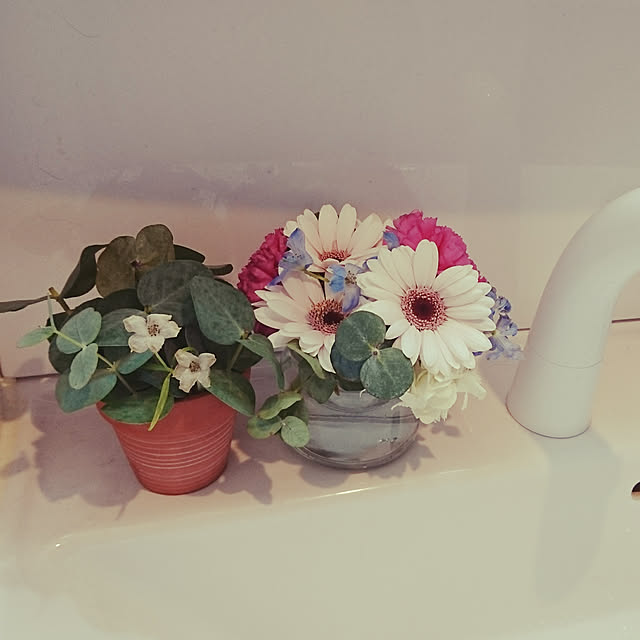 lilyさんの実例写真