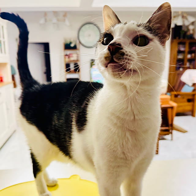 pcu110さんの部屋