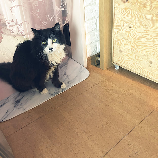 kanaさんの実例写真