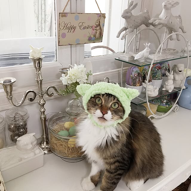 yuchiさんの実例写真