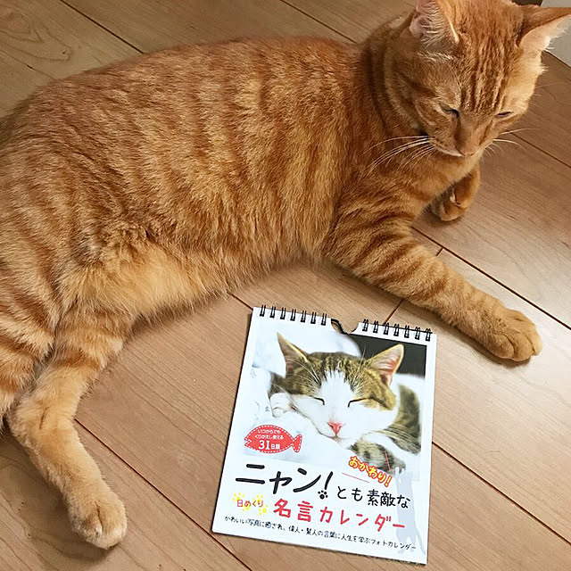 youkoさんの実例写真