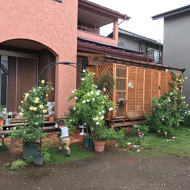 ayapanmanさんの実例写真