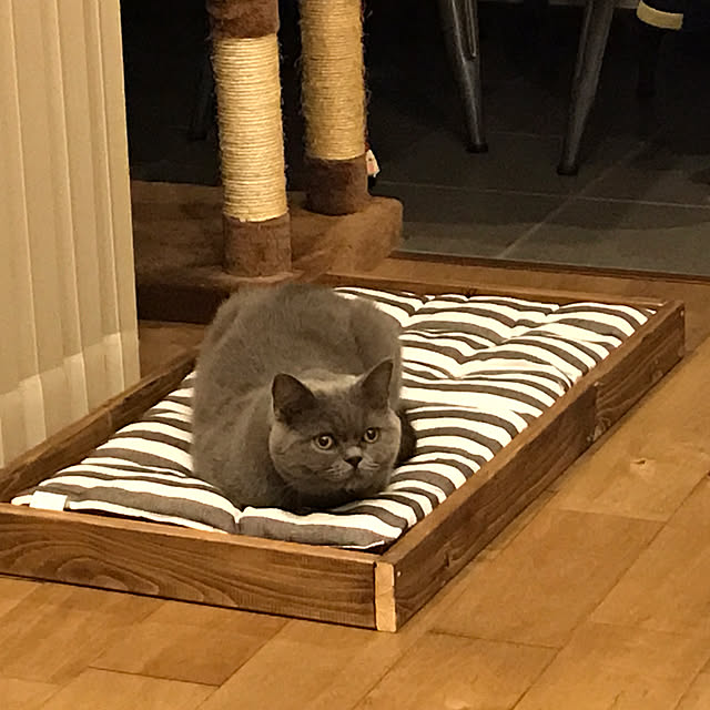 tadatomoさんの実例写真
