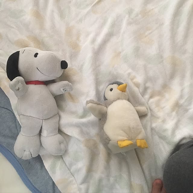 mi-tanさんの実例写真