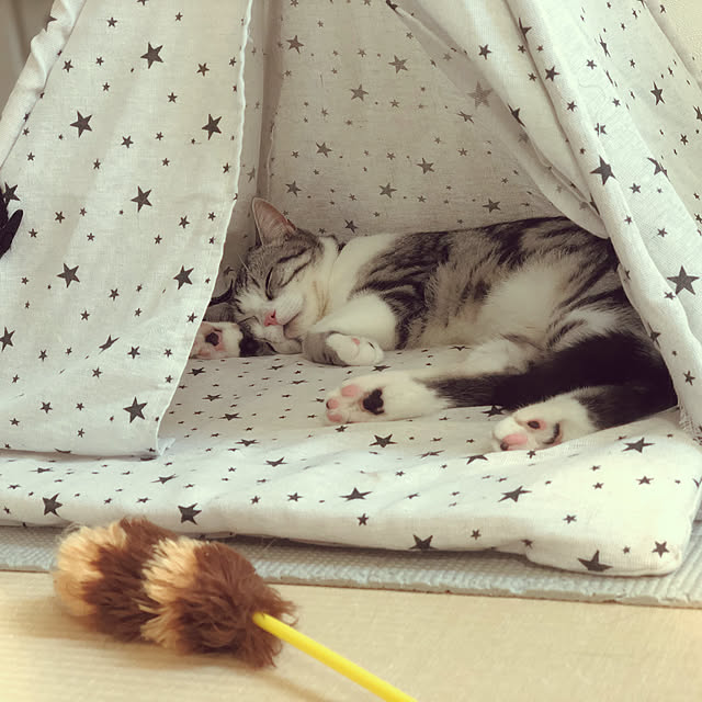 taMAさんの実例写真