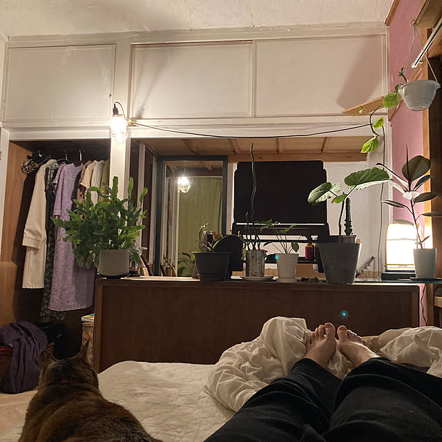 saltさんの部屋