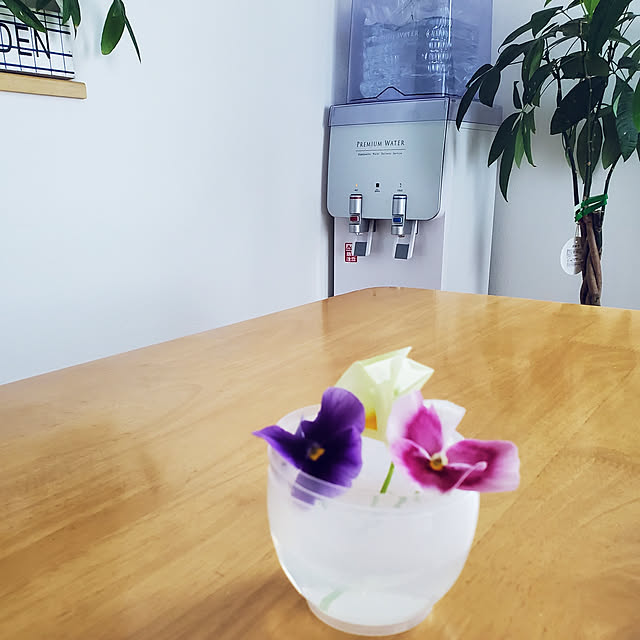 icchiさんの実例写真