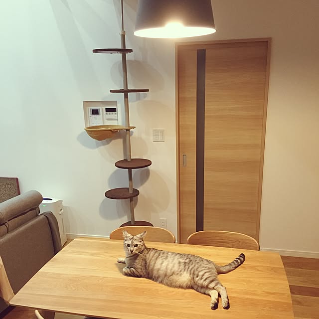 Yoshieさんの実例写真