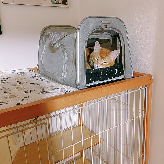 reo..m.aさんの実例写真