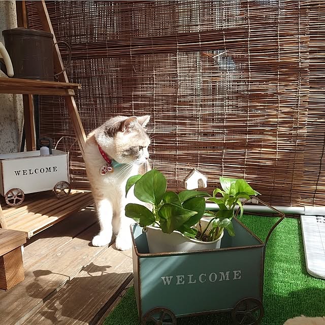fukuさんの部屋