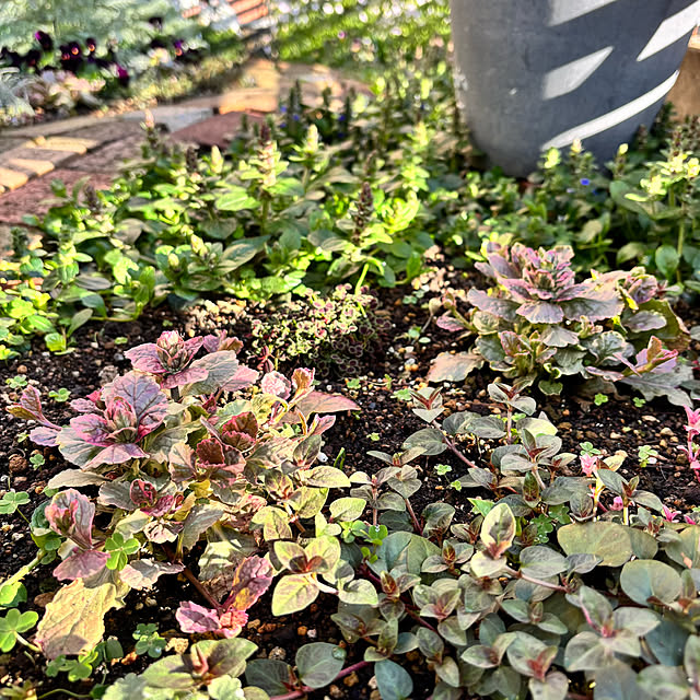 kyoko1124koさんの部屋