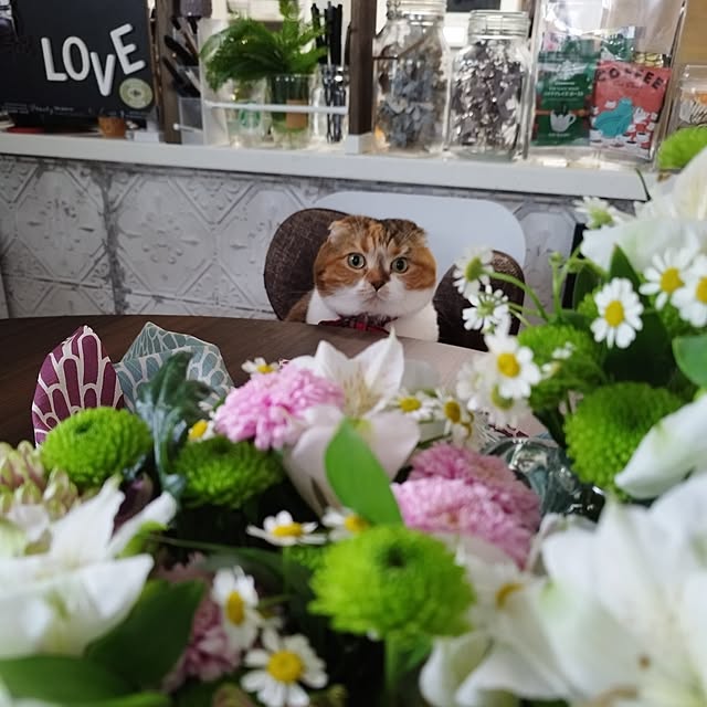 hiro3さんの部屋