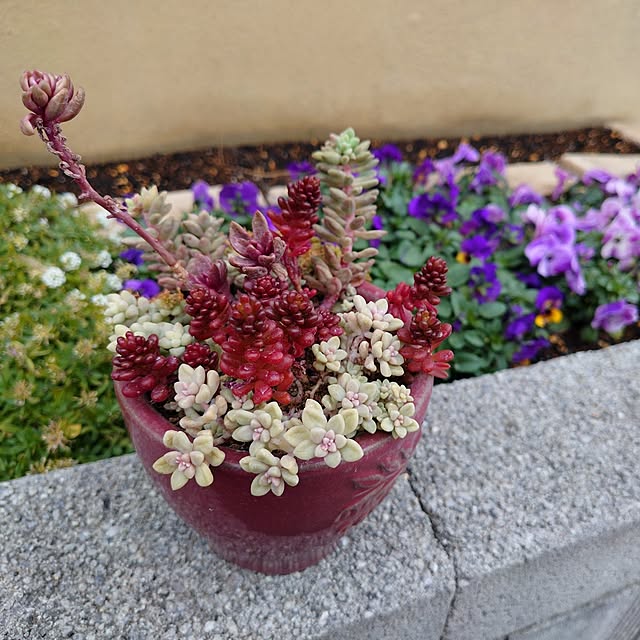 coconathuさんの部屋