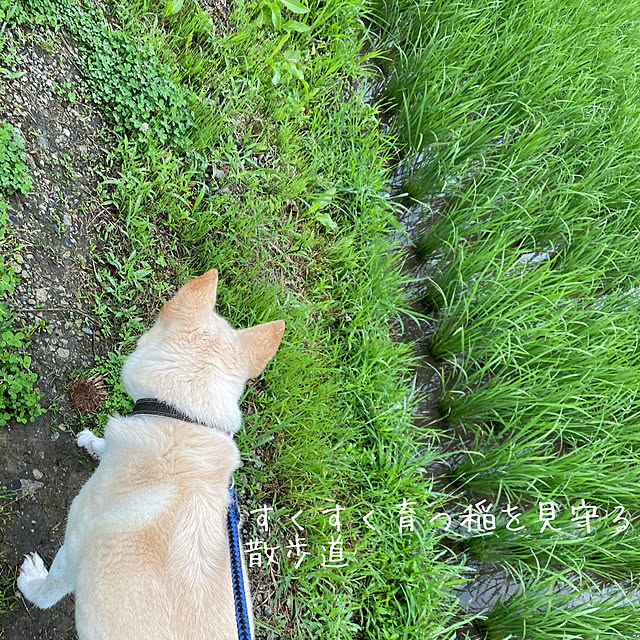 tanboさんの部屋