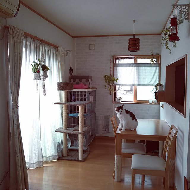 kamekoさんの実例写真