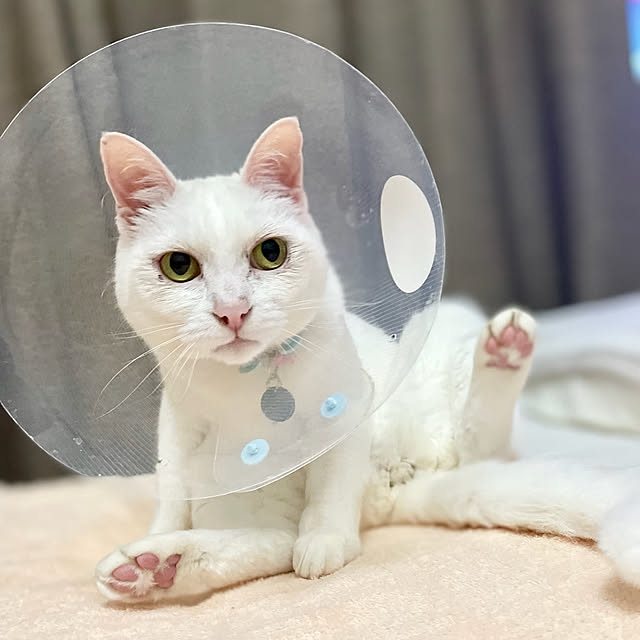 Maiさんの実例写真