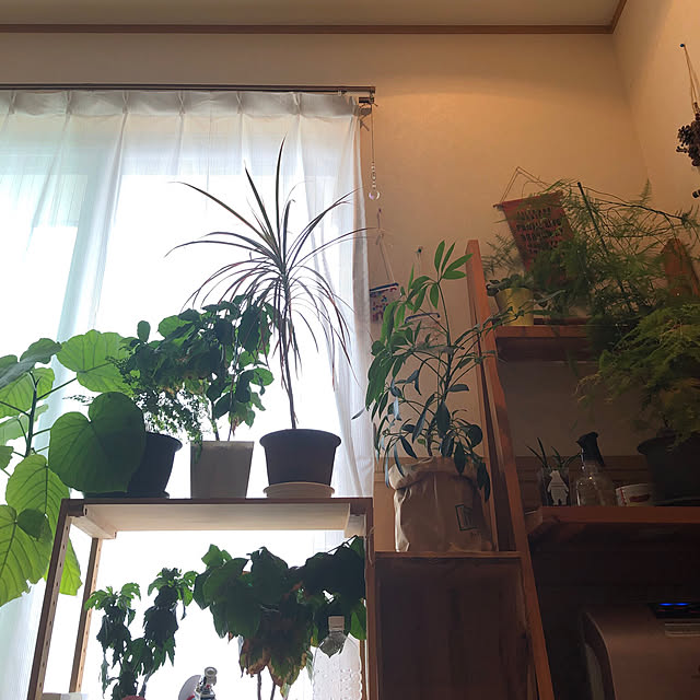 aqoさんの実例写真