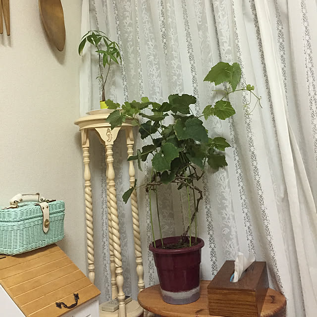 Ren_Yamauch1さんの実例写真