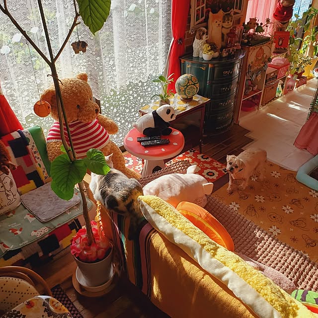 kumutanさんの実例写真