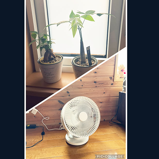 mogumoguさんの部屋