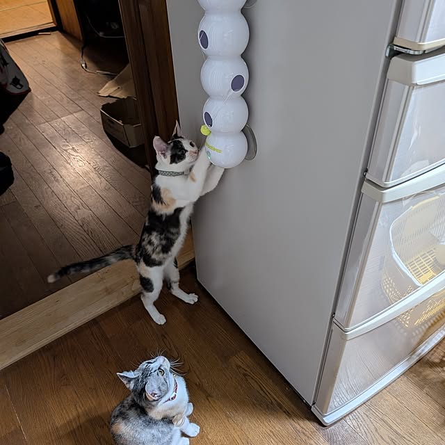 mill_0303さんの部屋