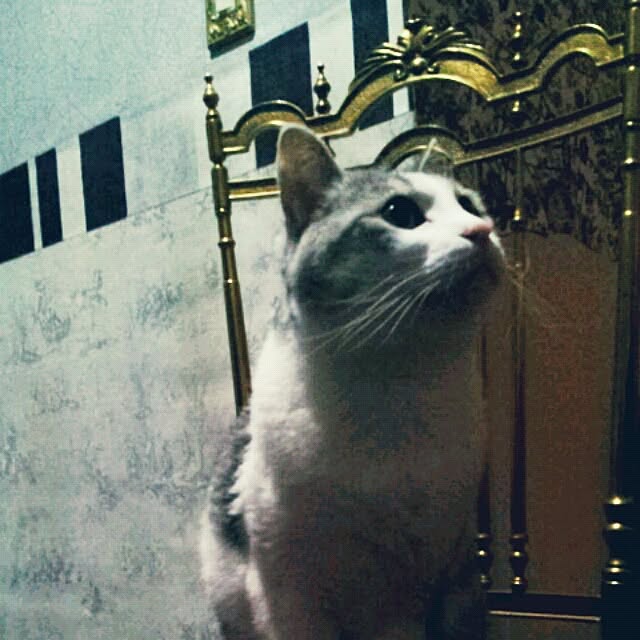 emmyyさんの実例写真