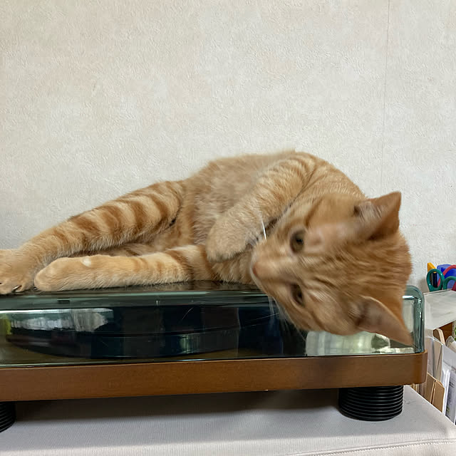 kirakirahoshiさんの実例写真