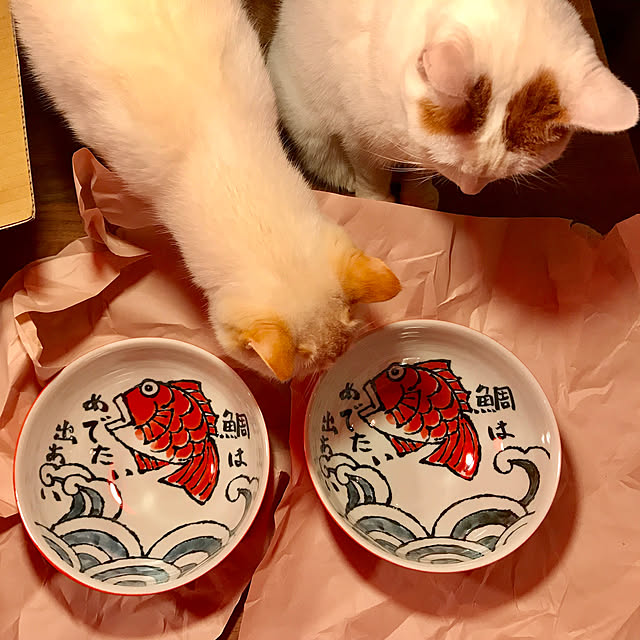 sakurasakuさんの実例写真