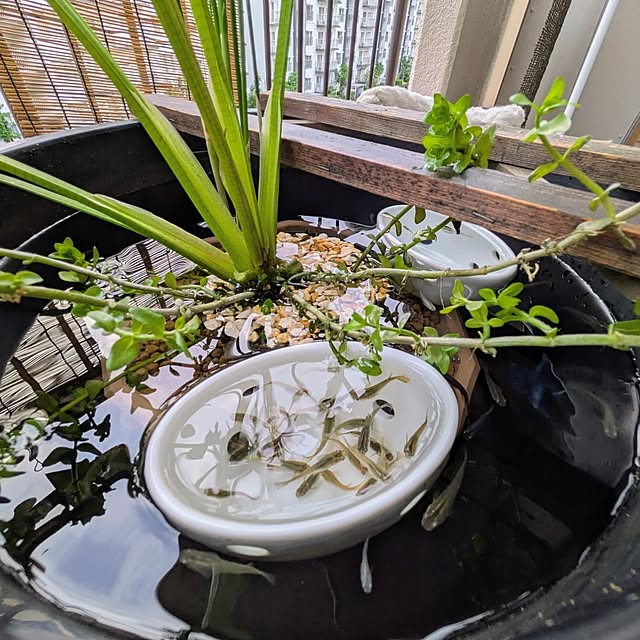 mi-saさんの実例写真