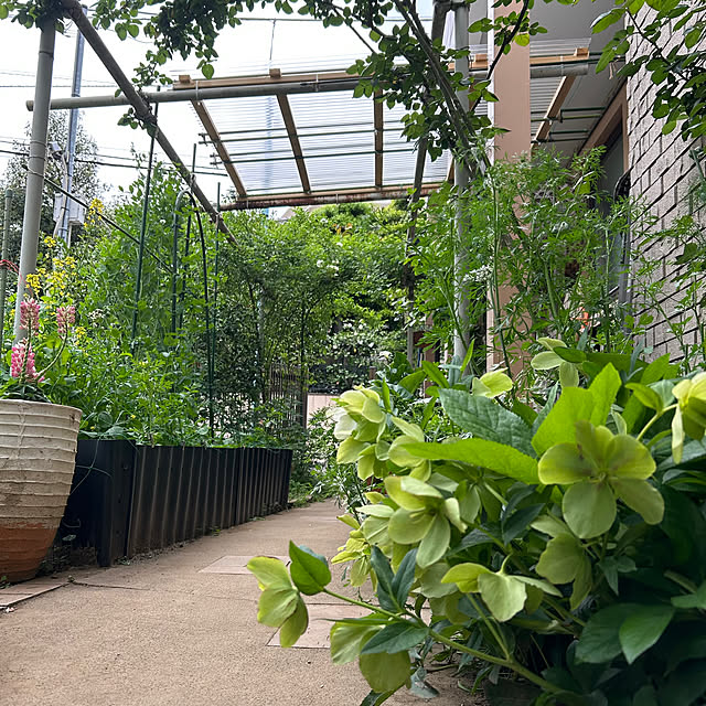 botanさんの実例写真
