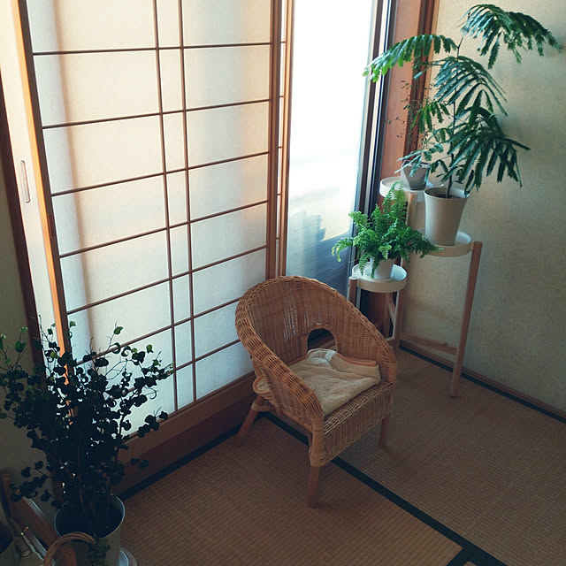 maaayaさんの実例写真