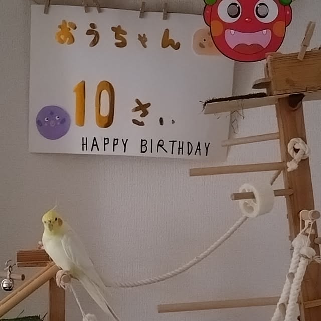 toratanさんの実例写真